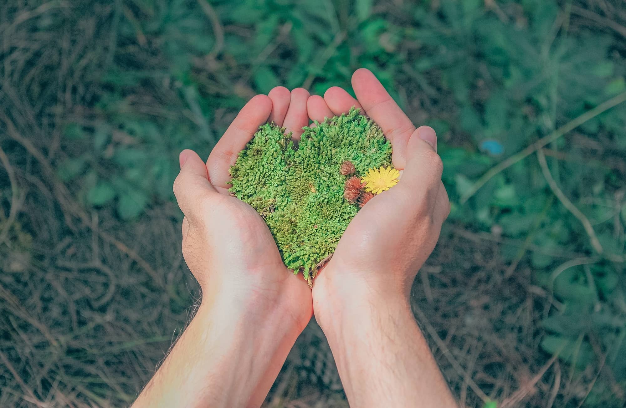 Earth Day: 8 Ways to Nurture Mother Earth The Way She Nurtures Us - Life is Ohsem