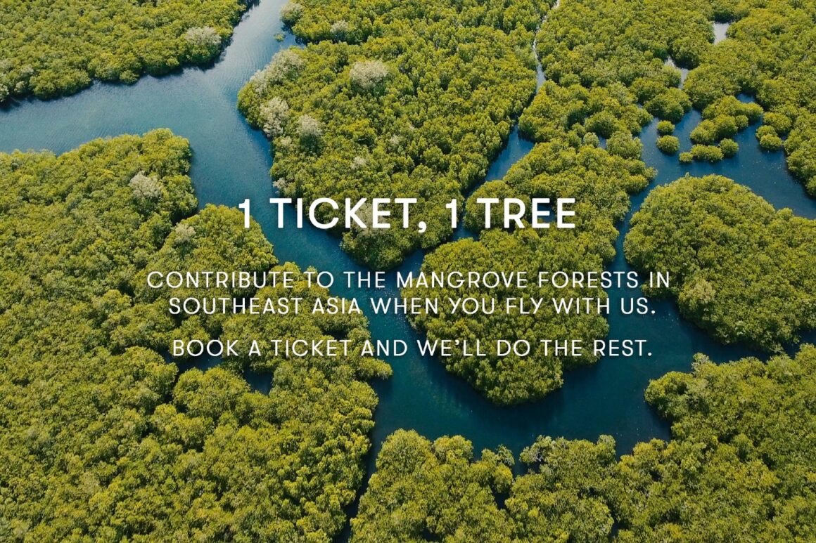 1 Ticket, 1 Tree! Cathay Pacific to Plant Mangrove Trees Across Southeast Asia