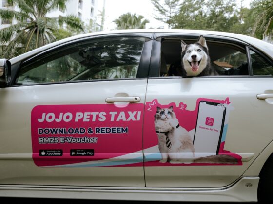 ‘Paw’sitive Outlook for Premium Malaysian Pet-Hailing App JoJo Pets Taxi - Life is Ohsem