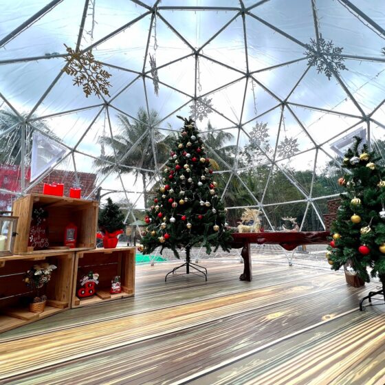 “Winter” Carnival 2022 at Spritzer EcoPark - Life is Ohsem