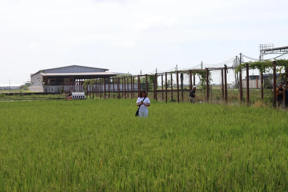 Exploring Sabak Bernam: A Two-Day Travel Guide