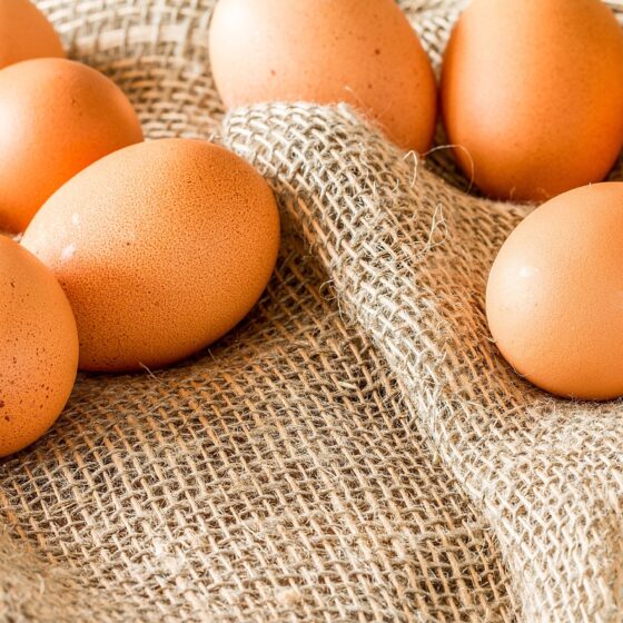 Hypermarket Chain MYDIN Wins Praise For New Cage-Free Eggs Goal - Life is Ohsem