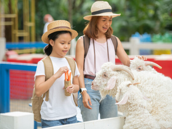 7 Petting Zoo and Farm Animals Around Selangor - Life is Ohsem