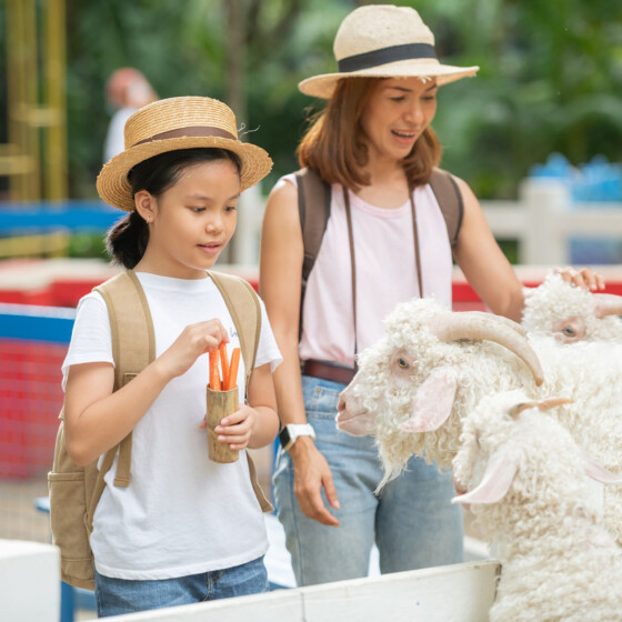 7 Petting Zoo and Farm Animals Around Selangor - Life is Ohsem