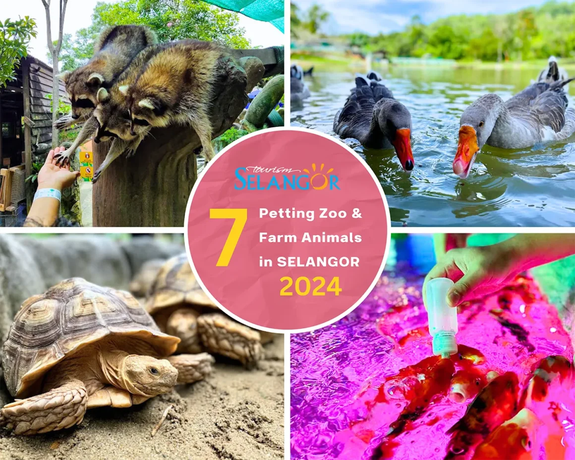 7 Petting Zoo and Farm Animals Around Selangor