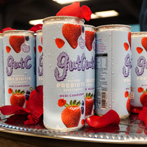 Tapping Tapir Adds Mix Berry Flavor to gutC Prebiotic Range - Life is Ohsem