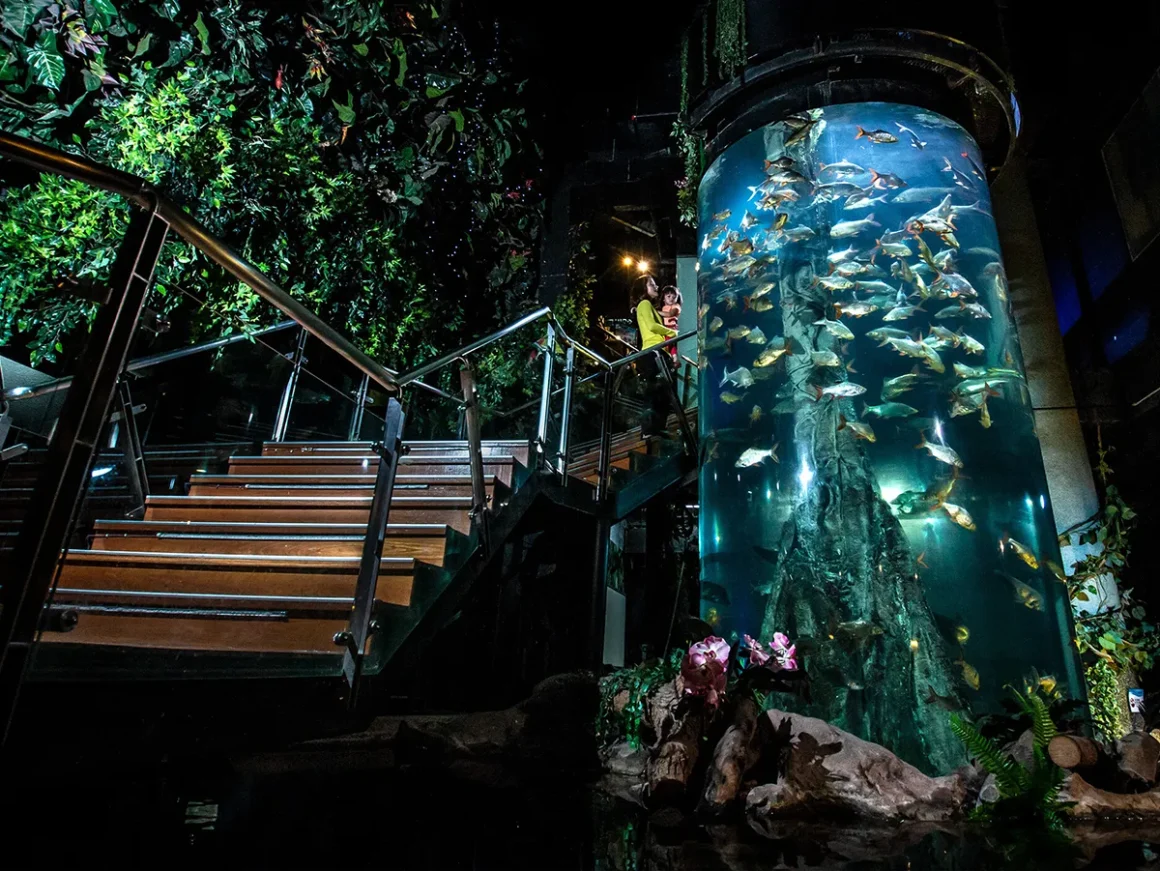 Five Trip.com Favourite Family Attractions in Malaysia - Aquaria KLCC