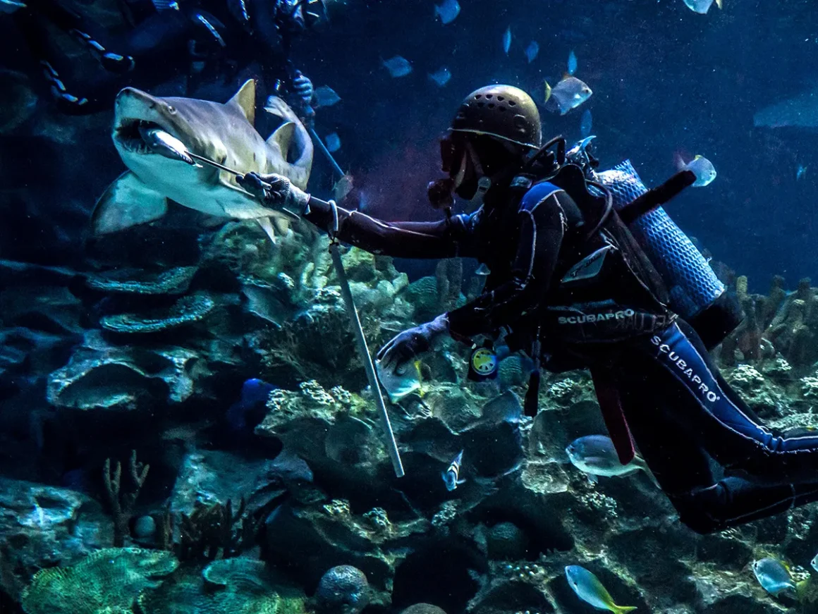 Five Trip.com Favourite Family Attractions in Malaysia - Aquaria KLCC