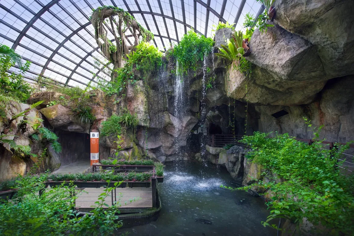 Five Trip.com Favourite Family Attractions in Malaysia - Entopia